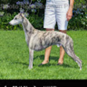 Meet your Posher, Patti